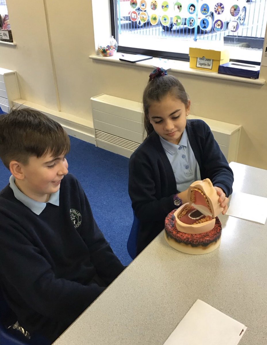 GrangeValley1's tweet photo. The Smoke Free Team worked with our Year 6 children today to discuss the dangers of smoking and the affect this can have on our bodies. @HealthySTH @HaydockScience @sthelenscouncil https://t.co/pF0sFr1lbP