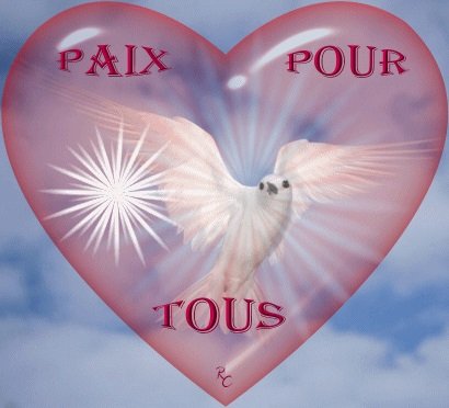 tsived's tweet photo. il n'y a pas de chemin pour la paix , la paix un chemin
#VoixDePaix. #JeMengage  #Asdem https://t.co/BGIdtOI9cZ