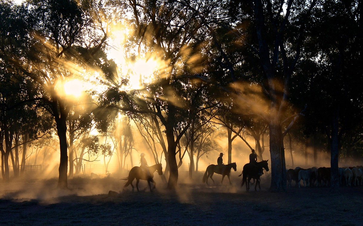 This Old Cowboy Lives, Eats, & Breathes The Cattle Rancher Life. But Now That Things Are About To Change, Will He Be Able To As Well? Find Out What's Next For Boots Watson In This Short Story 'Any Dang Fool': bjcondike.com/2019/11/15/any… #Western #Rancher #Stories