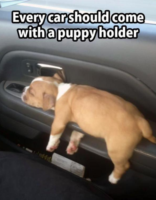 A must have for each and every car.