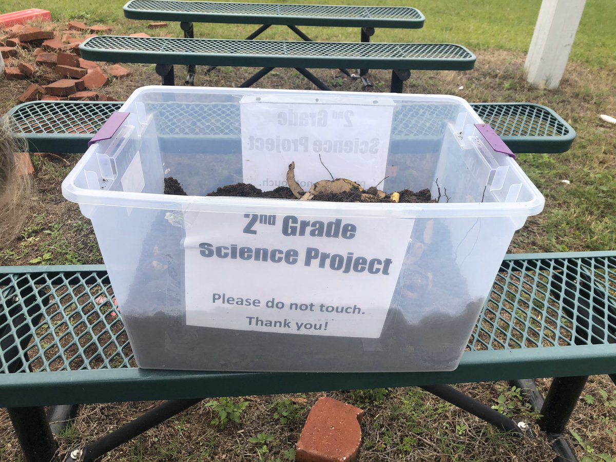 WhisperingOakEl's tweet image. Mr. Nowik and Ms. Ibarra’s class made a compost bin as part of the Science unit on soil! @OCPSGreen @West_OCPS @OCPSnews #ocpsScience