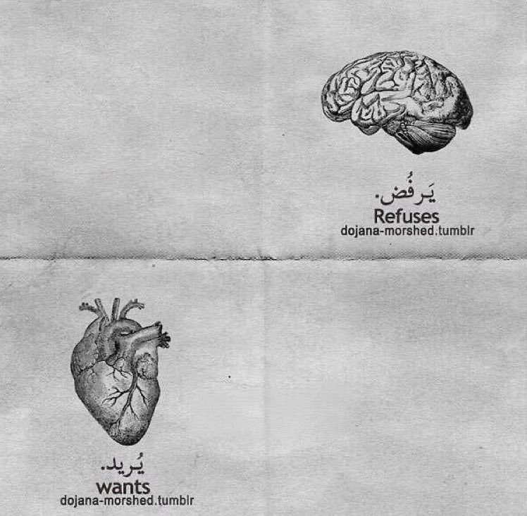 AS_544's tweet photo. اسوأ الحُروب الي ممكن تخوضها مع نفسك. 
"عقل يرفض، وقلب يُريد." https://t.co/ddlrCnie1S