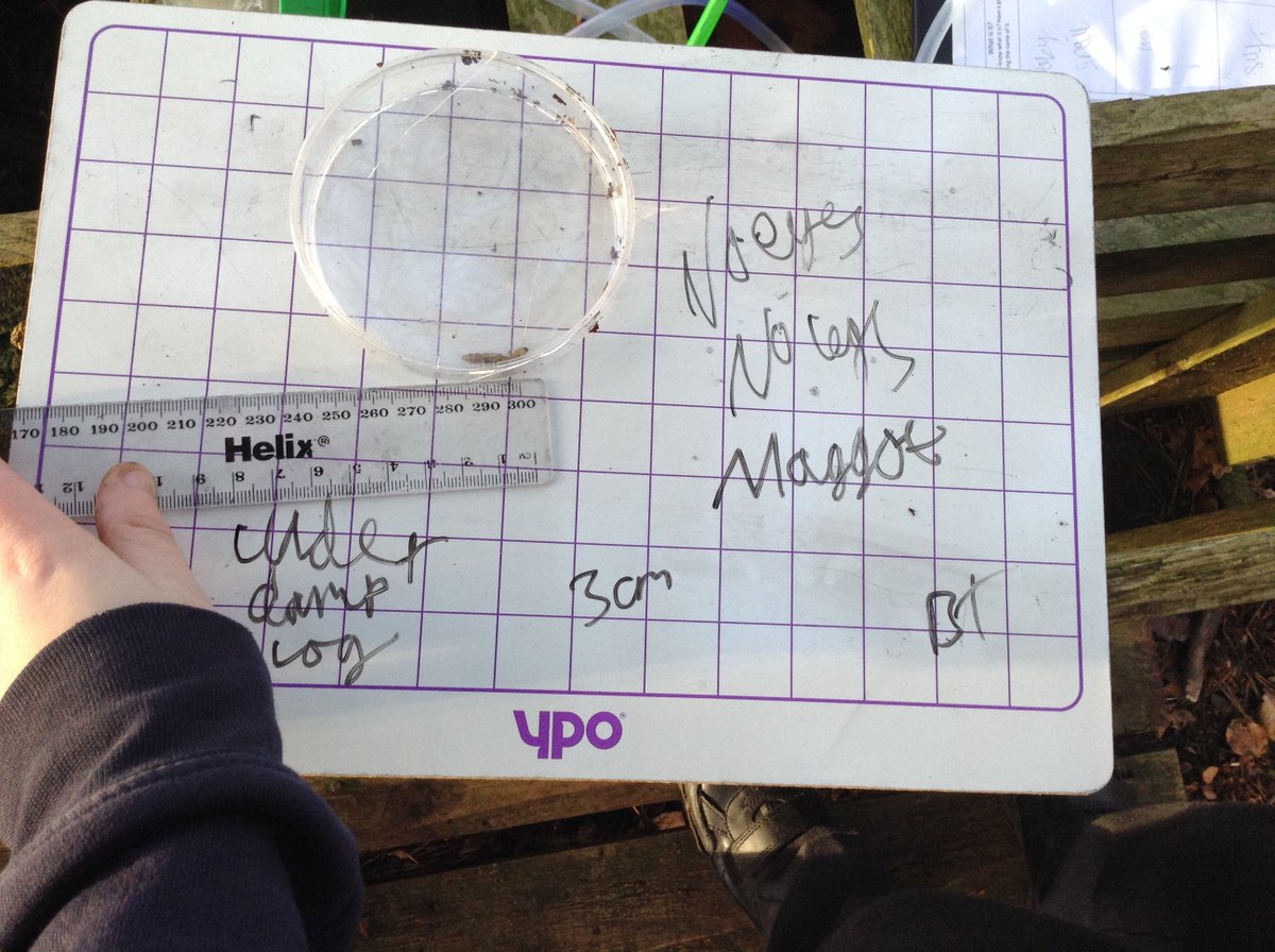 Calder Vale C of E tweet media