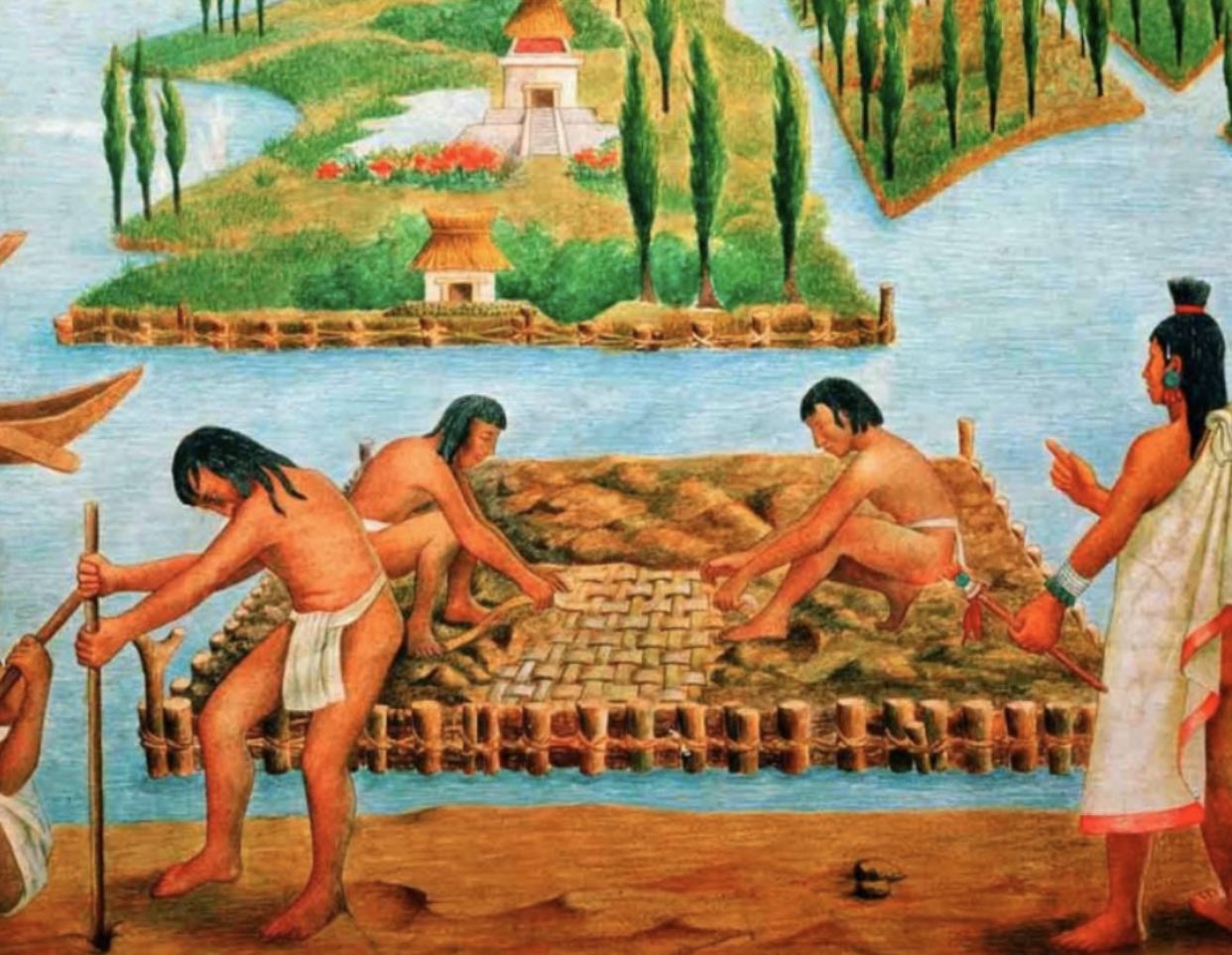 Twitter 上的 Imperio Azteca："#agricultura ¿Sabías que inventamos un método de  agricultura que se llama Chinampa?Son unas balsas cubiertas de tierra, que  sirven para cultivar flores y verduras, y para ampliar el territorio