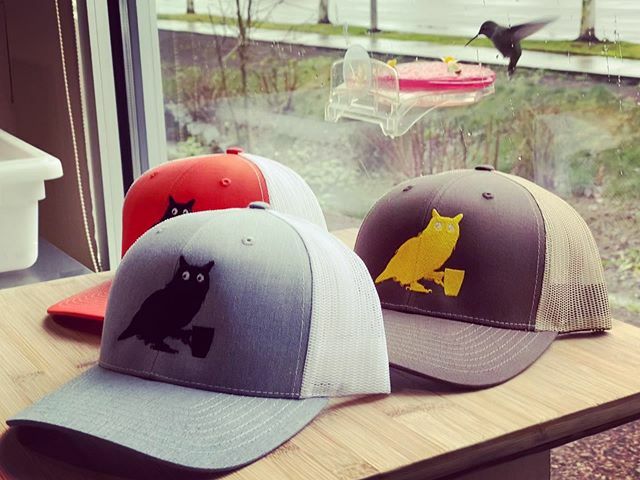 WeDoGoodCoffee's tweet photo. Even the hummingbirds can’t stop checking out our new trucker hats! #sauvieisland #supportyourlocalcoffeeshop #birdsofinstagram #hummingbirds #coffee #sauvieislandcoffeeco #sauvieislandcoffeeroasters https://t.co/0Q1g6Dkey7