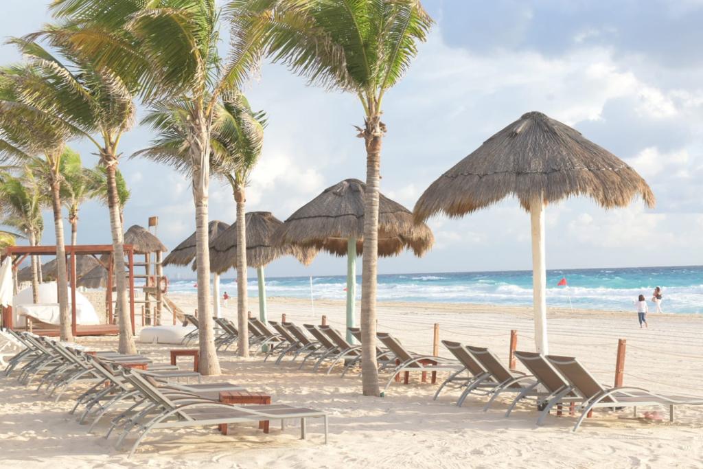 Now Emerald Cancun tweet media