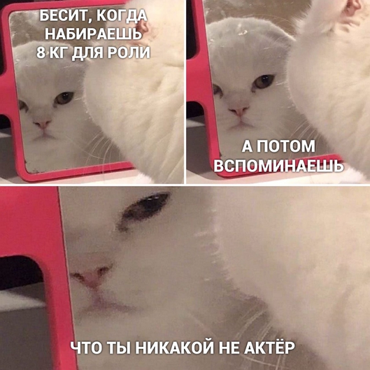 so_mad_so_funny's tweet photo. https://t.co/ut76KGXFQR