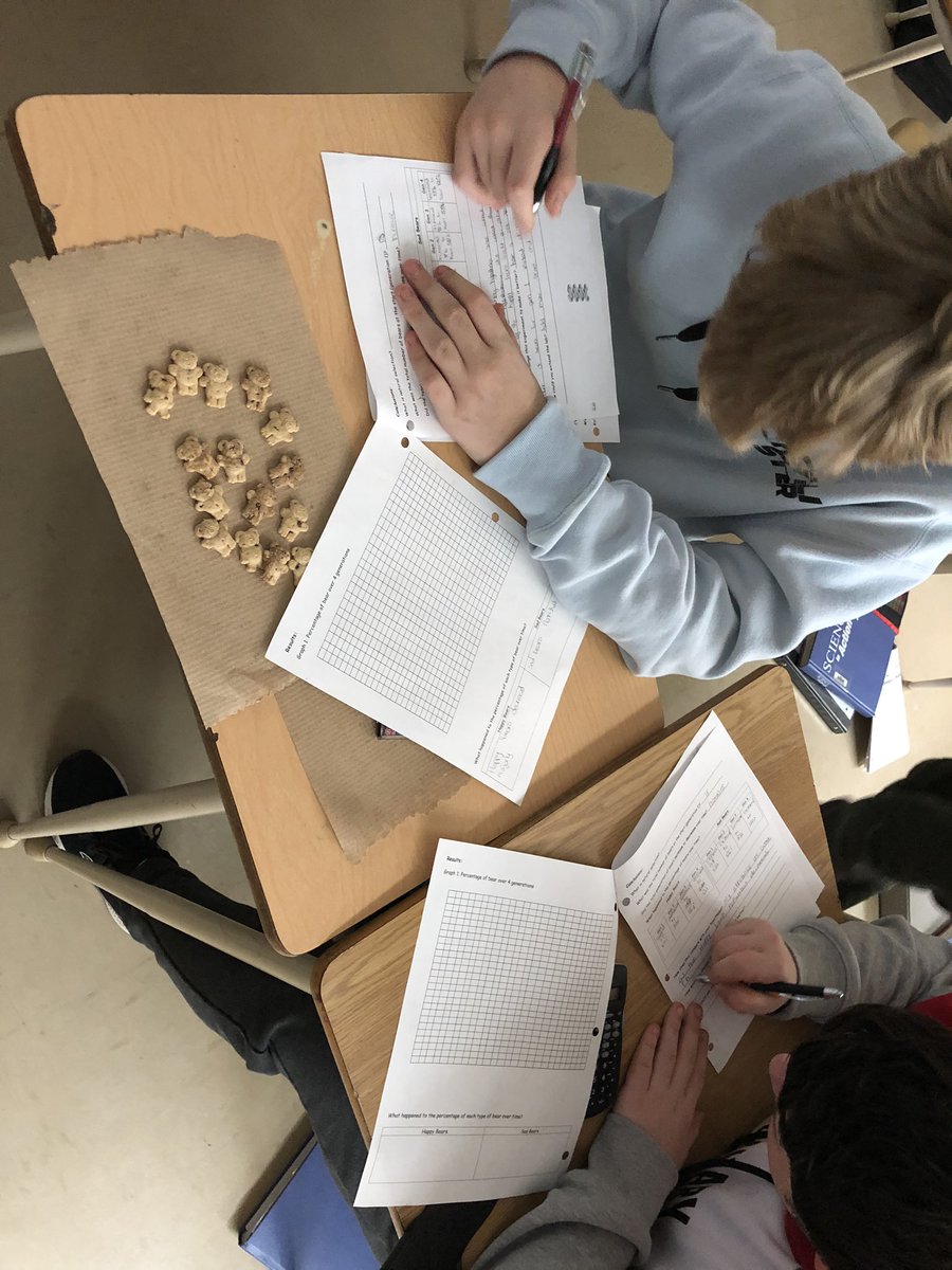 SynaMaclagan's tweet photo. We brought the 🐻s out of hibernation for this lab. #NaturalSelection #Science9 #teddygrahams https://t.co/h61n09wUrt