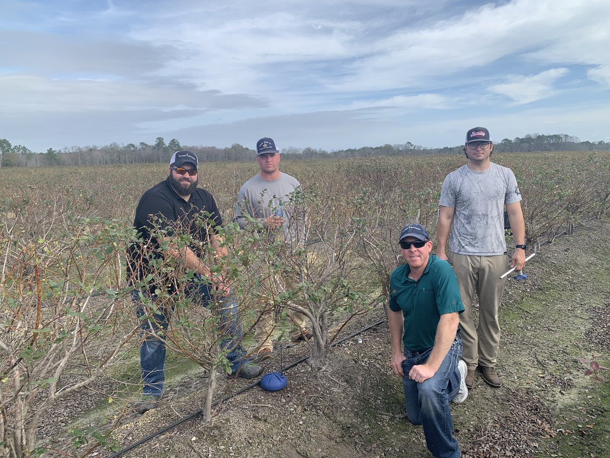 CropMetrics tweet media