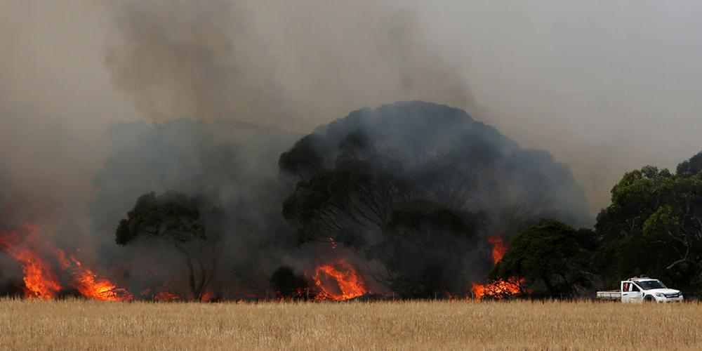 The relief efforts related to the ongoing wildfires in Australia received a significant boost last week through the @SonyOpenHawaii, the @PresidentsCup, the @PGATOUR, and other groups. READ: https://bit.ly/30muIIq
#Australia #Fire #SonyOpenHawaii #PGATour #PresidentsCup