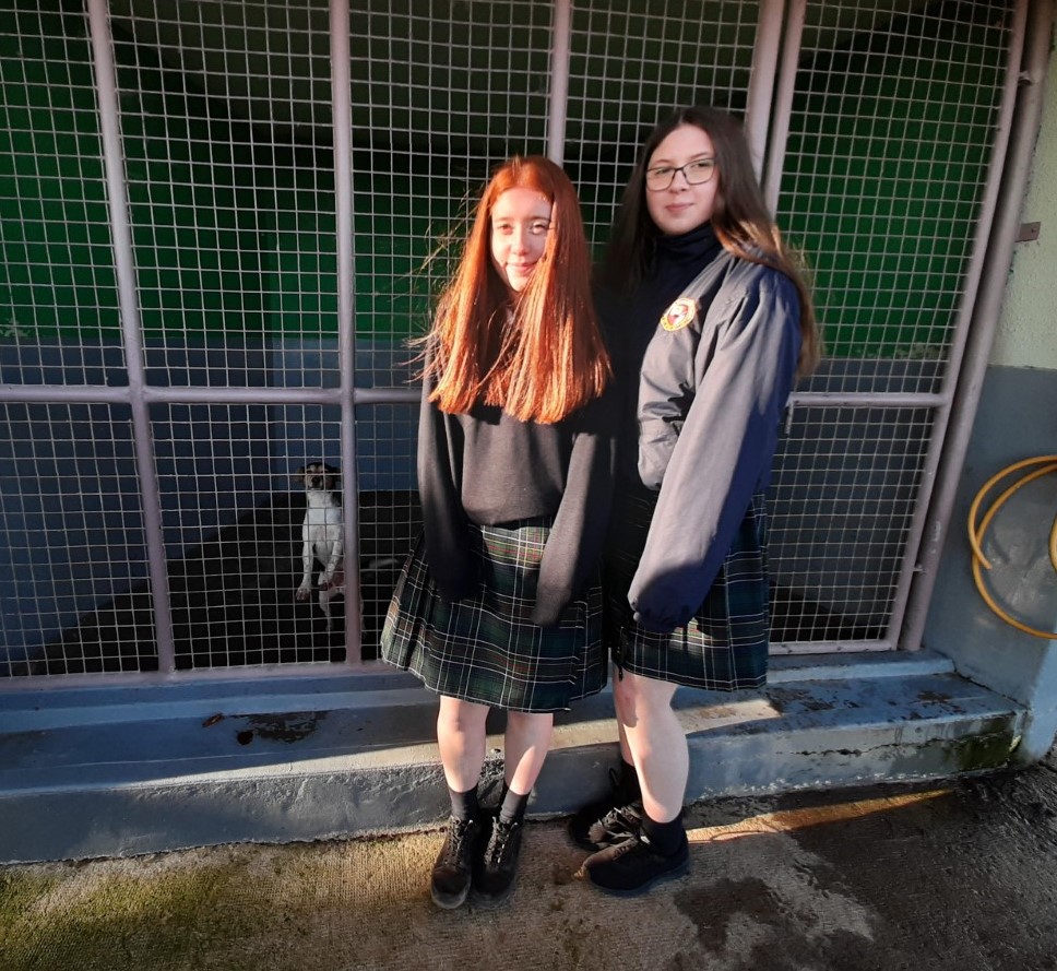 cc_avondale's tweet photo. Thanks to Linda and team at the WSCPA centre in Rathdrum for welcoming TY2 earlier today as part of their YSI project on animal welfare. #YSInow https://t.co/znLY6gx0dR