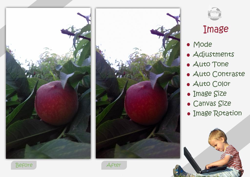 MozghanM's tweet photo. We learn some new part of image (Mode, Auto Tone, Auto Color, Image Size, ...)  in 11 Jun 2020 
@CodeToInspire
#AfghanGirlsCode
#GraphicDesignStudent https://t.co/KSa2iGgujW