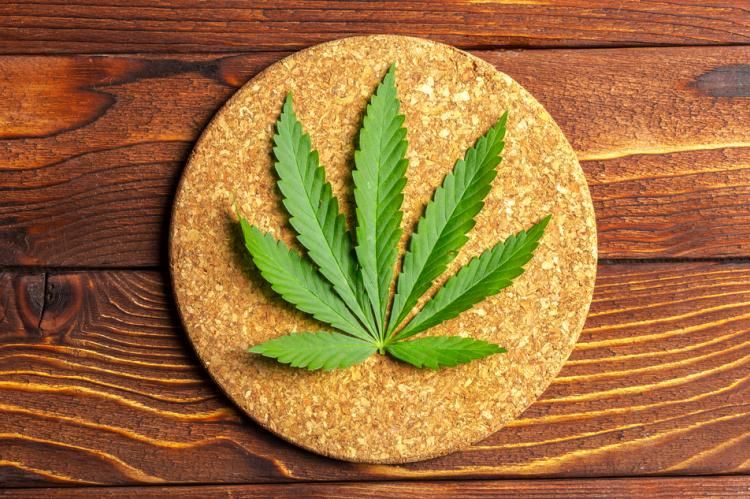 Cannabis marketing in South Africa: An emerging industry | High Green News buff.ly/2NuqKrX #highgreennews #cannabiscommunity #cannabisnews #cannabisculture