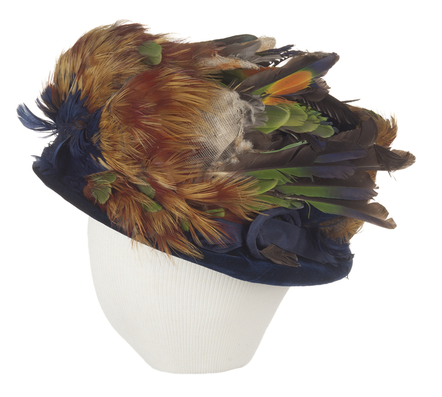 Keeping Feathers Off Hats–and On Birds, History