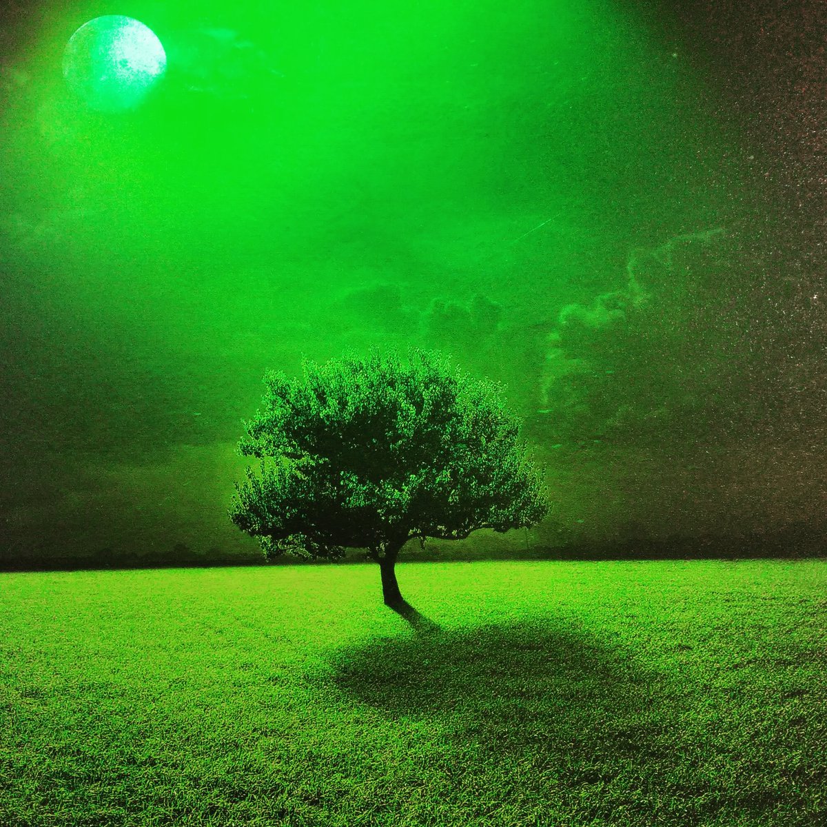 ThreeMiracle's tweet image. Follow me @ThreeMiracle for 3000$ giveaway #MasterSecondLook #BB13 #MasterHasArrived #DharSupportsCAA #Master #AwardWapsiMIA #WIvIRE #WednesdayMotivation #ShaheenBaghStandOff #BiggBoss @ThreeMiracle #AwardWapsiMIA #DharSupportsCAA #DigitalMarketing #GiveawayAlert