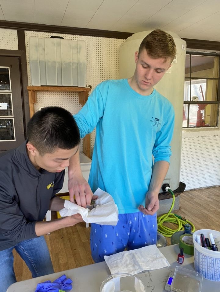 Our babies are getting big! 💪🤩🐢