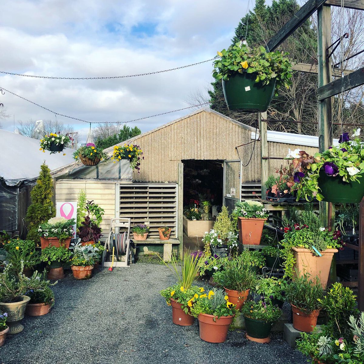 Ellen Mary tweet media