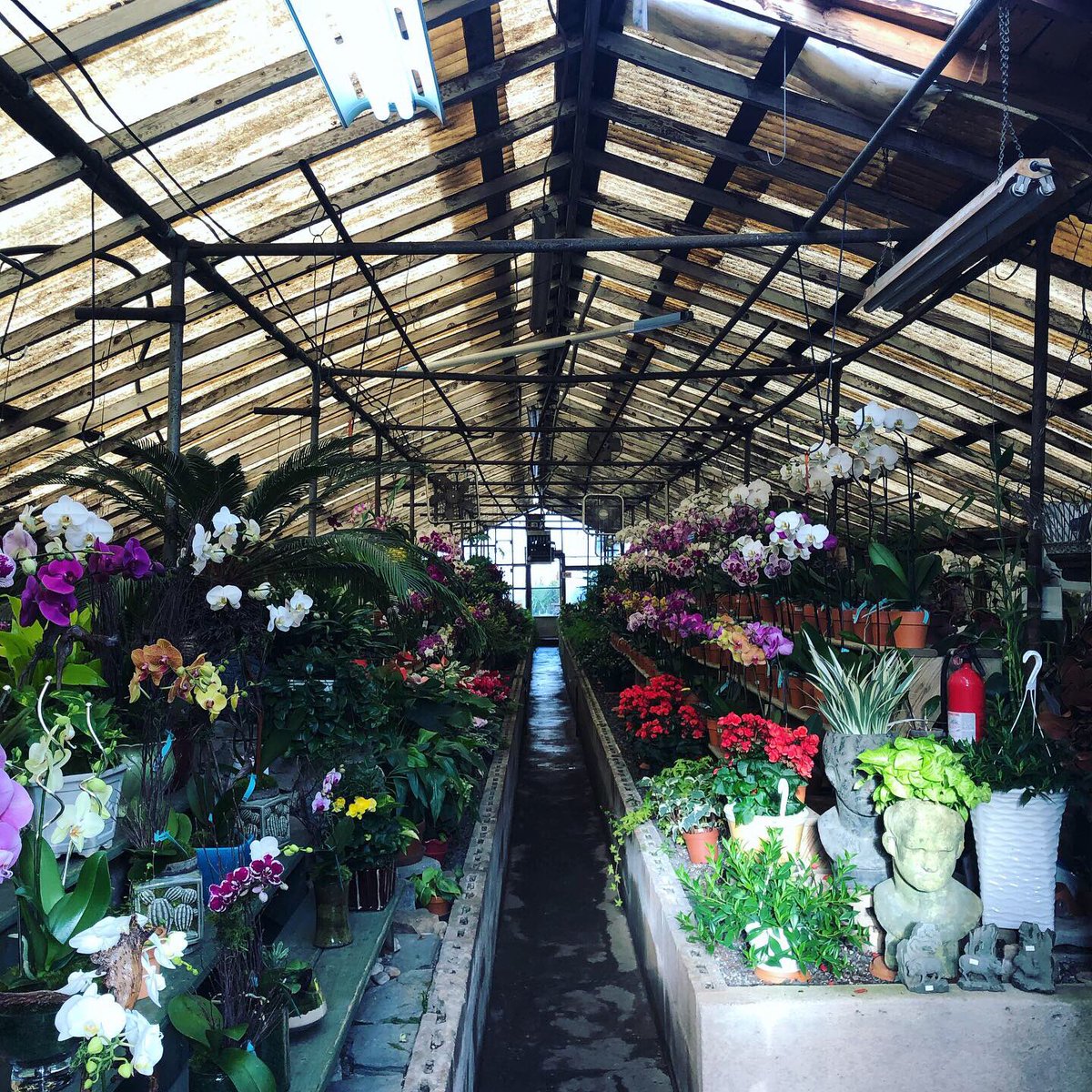 Ellen Mary tweet media