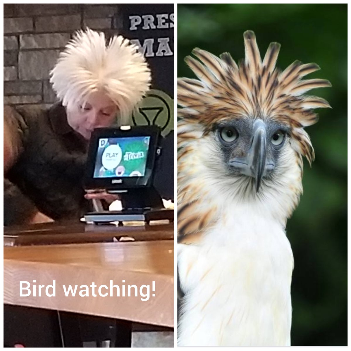 Tallmoonpie79's tweet photo. #birdwatching #tulsahills #chillis #funny https://t.co/Sn6m1bxQtm