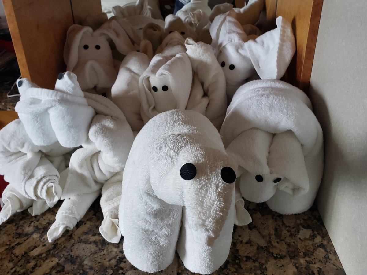 Hey <a href="/CarnivalPLC/">Carnival Corporation</a> I am on Pride journeys cruise.  Big props to Cabin Steward JayJay.  Seems like he is 6 people!  Always on and super service! Best ever in over 20 cruises.  Can not say enough - a true credit to the brand!