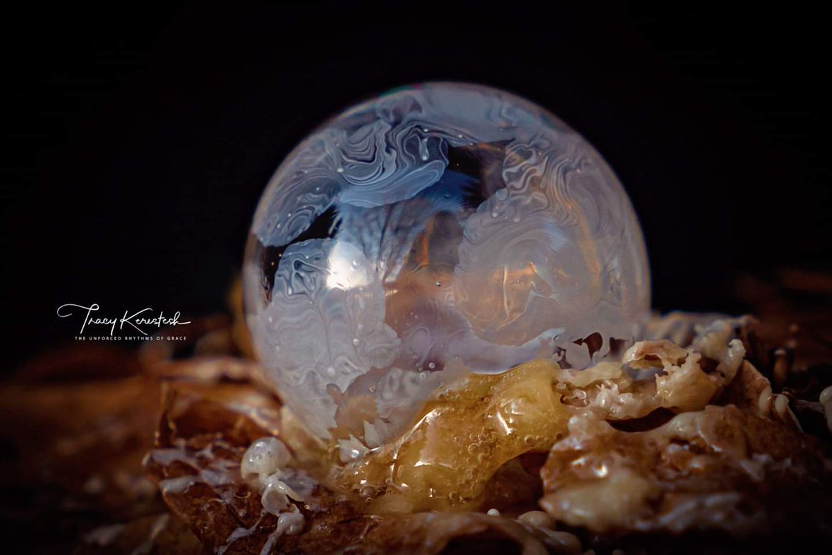 tracyportraits's tweet photo. Frozen Ice Bubbles
#icebubbles @Saskatchewan #LandofLivingSkies #OurNature @weatherchannel #YourSask @TiffanyGlobal @CTVwdean #cbcsklens #exploresask #ThePhotoHour #sharecangeo @weathernetwork #prairiesnorth #ShareYourWeather #exploreSaskPrairie #SaskTrailsPhotoContest https://t.co/BEKBwNUQ6D