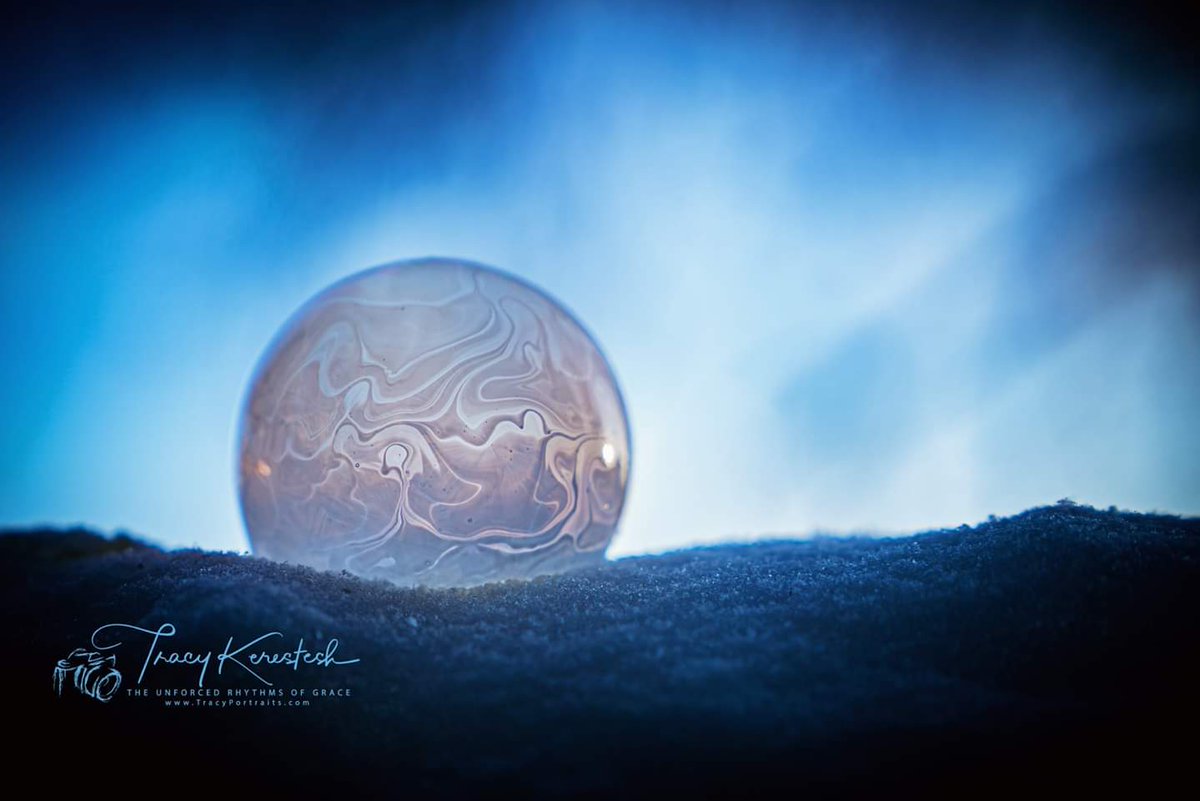 tracyportraits's tweet photo. Frozen Ice Bubbles
#icebubbles @Saskatchewan #LandofLivingSkies #OurNature @weatherchannel #YourSask @TiffanyGlobal @CTVwdean #cbcsklens #exploresask #ThePhotoHour #sharecangeo @weathernetwork #prairiesnorth #ShareYourWeather #exploreSaskPrairie #SaskTrailsPhotoContest https://t.co/BEKBwNUQ6D
