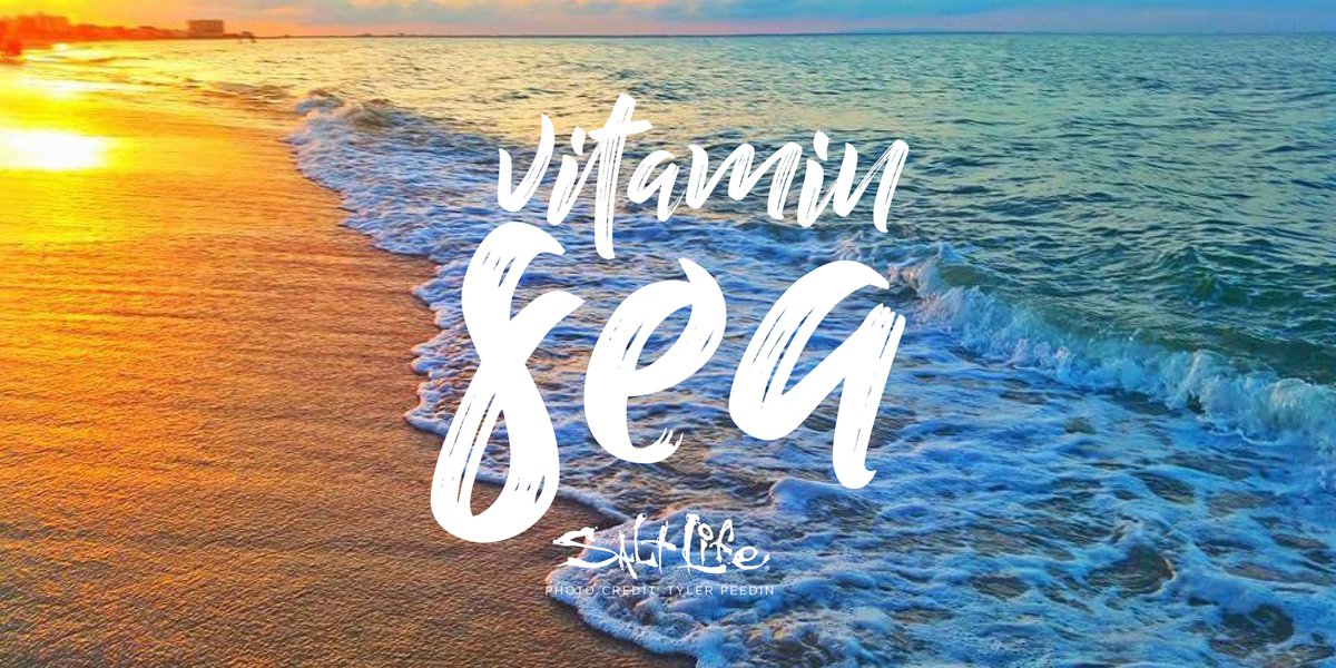 RealSaltLife's tweet photo. Vitamin Sea

#LiveTheSaltLife https://t.co/UB8hkJQ0vj