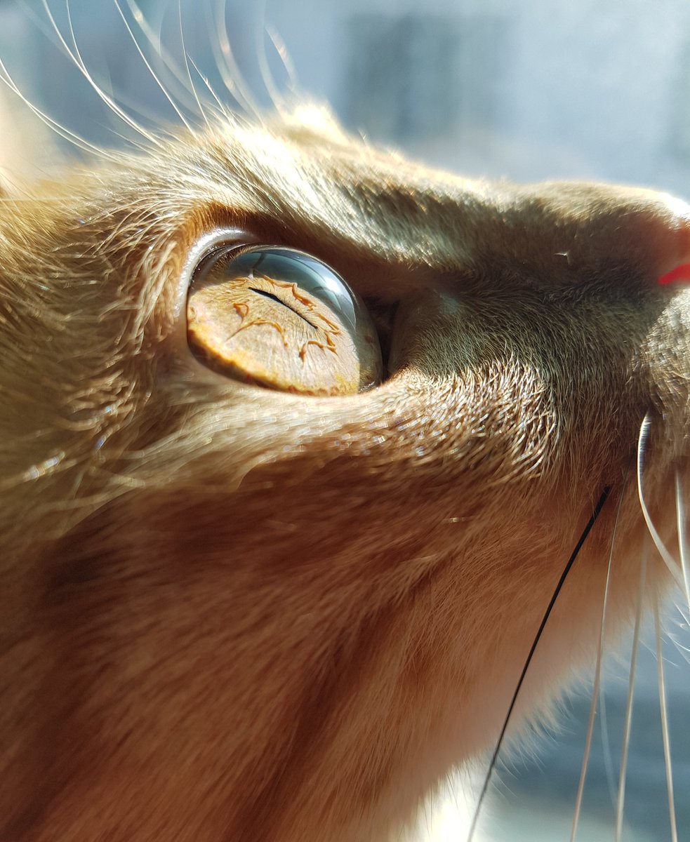 볼때마다 신기해