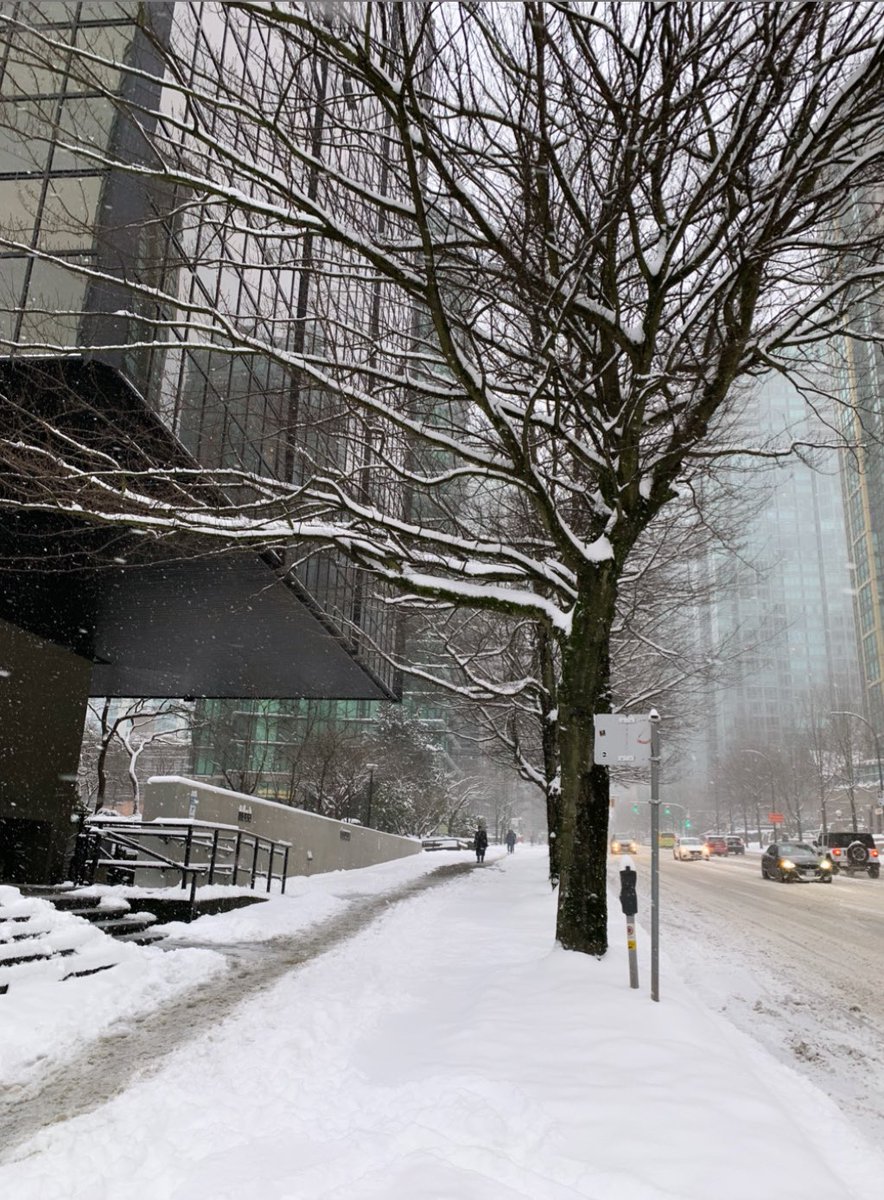 ExanSoftware's tweet image. The Vancouver area is experiencing extreme winter weather conditions which impacts our team’s ability to work in-office. This may result in a delay in axiUm Support responsiveness.

Thanks for your patience during this time! 

PS here are some of the snow photos from Exan Staff!