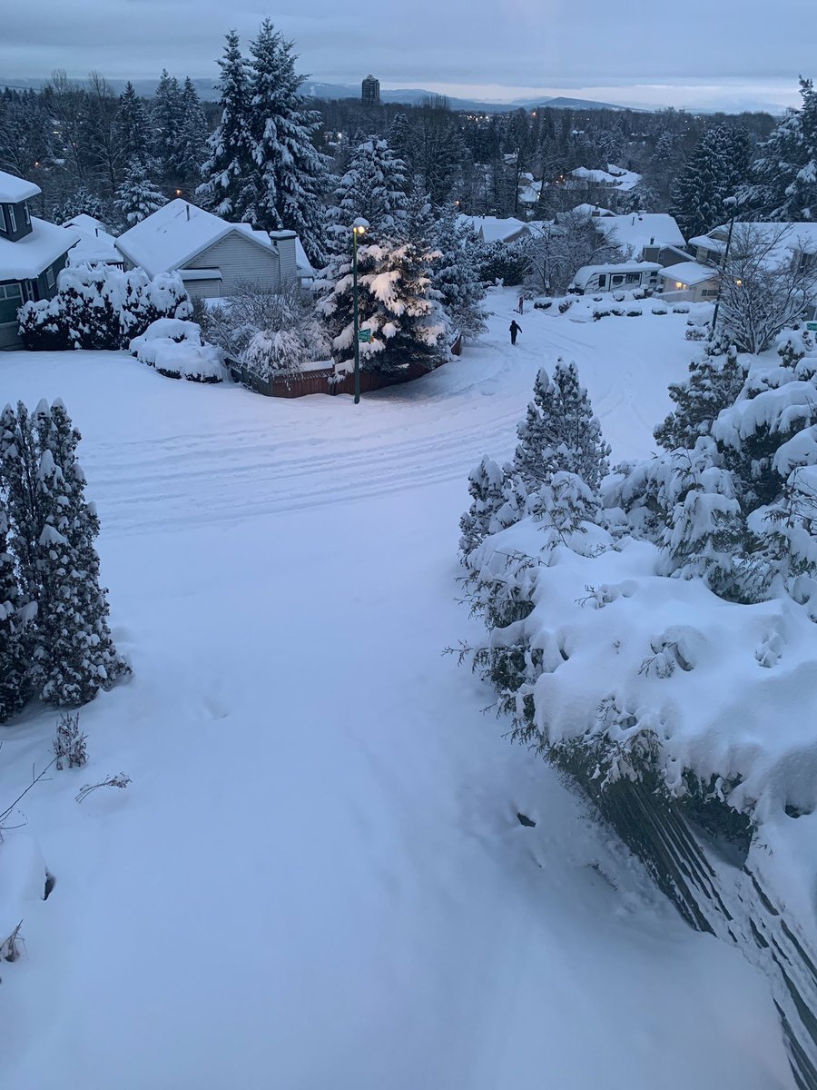 ExanSoftware's tweet image. The Vancouver area is experiencing extreme winter weather conditions which impacts our team’s ability to work in-office. This may result in a delay in axiUm Support responsiveness.

Thanks for your patience during this time! 

PS here are some of the snow photos from Exan Staff!