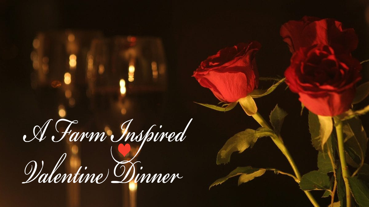 HOMEsweetFARM's tweet photo. A Farm Inspired Valentine Dinner!  TICKETS NOW ON SALE!  We have teamed up with Whitehurst Heritage Farm to create a unique dining experience... 4 courses, bubbly and 25% OFF suggested wine bottles for pairing.  Early registration closes Feb 9. https://t.co/46CE6t8yz7 https://t.co/65YbKitqqQ