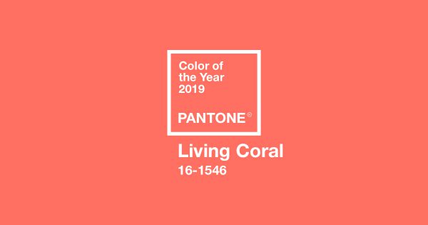 CincinnatiCater's tweet photo. #WeddingWednesday: Trend Alert! What color theme are you choosing for your 2020 wedding? The single color most popular in 2019 was CORAL. https://t.co/7ulQQRkHUS #WeddingColorTheme #Coloroftheyear #WeddingTrend #2020Wedding https://t.co/boG0Gh6tA3