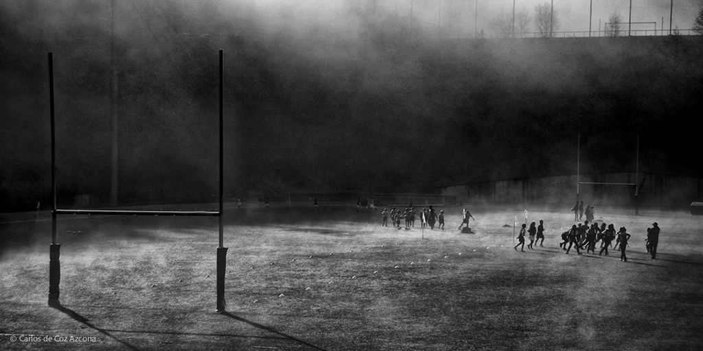 Emmanuel Guibert tweet media