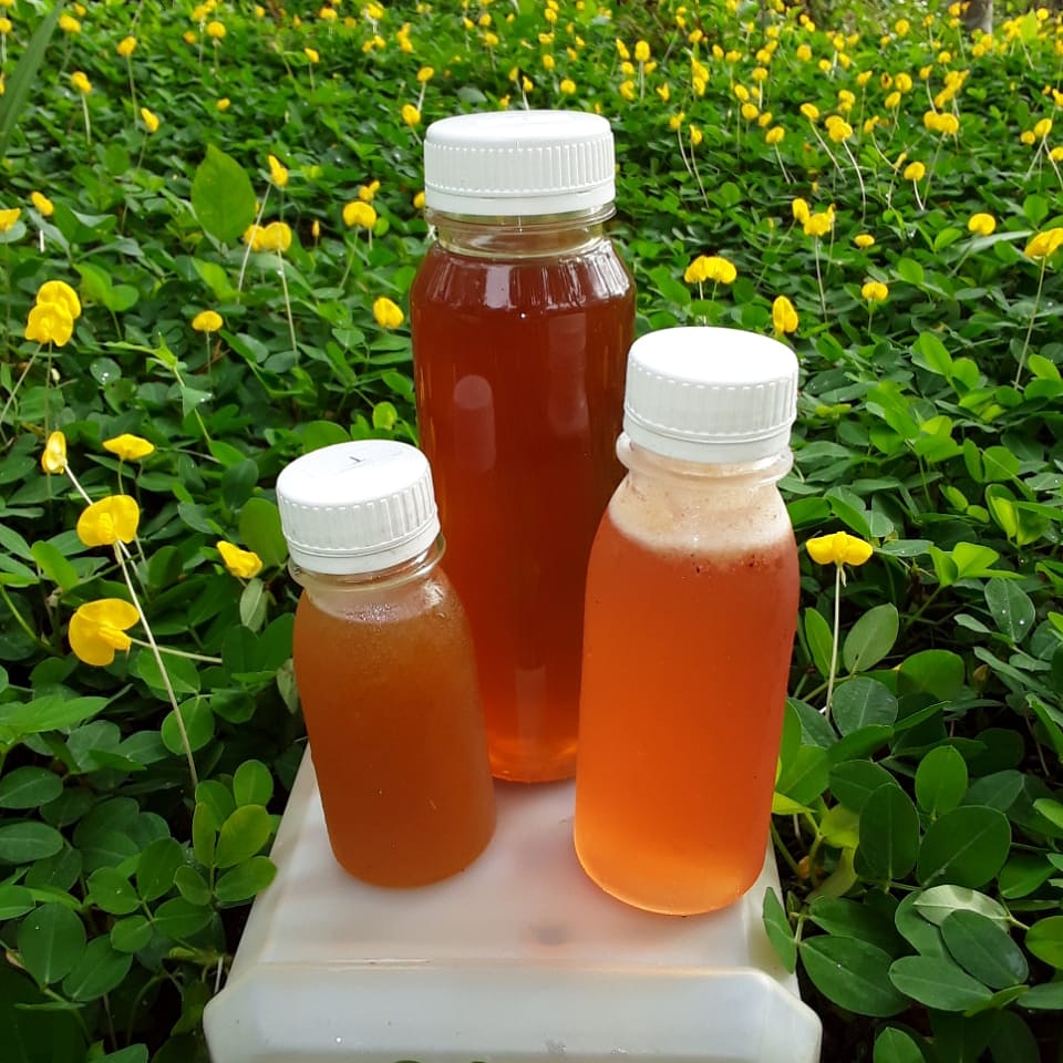 Ready madu kelulut wa 082217099068