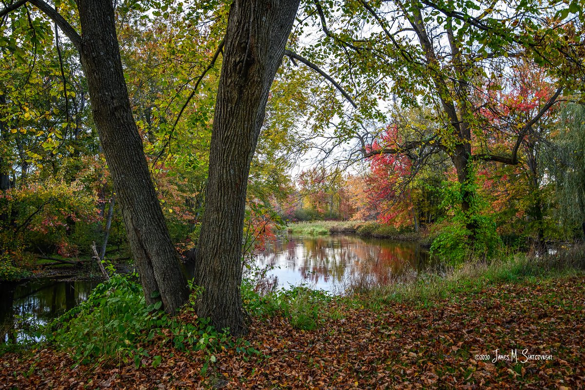 jsiatczy's tweet image. Fall 2019 - Island Lake Recreation Area, Brighton, Michigan
@PureMichigan @NikonUSA @MichiganDNR @MiStateParks @USFWSMidwest @LoveLivCo
#livingstoncounty #nikonnofilter #Fall2019