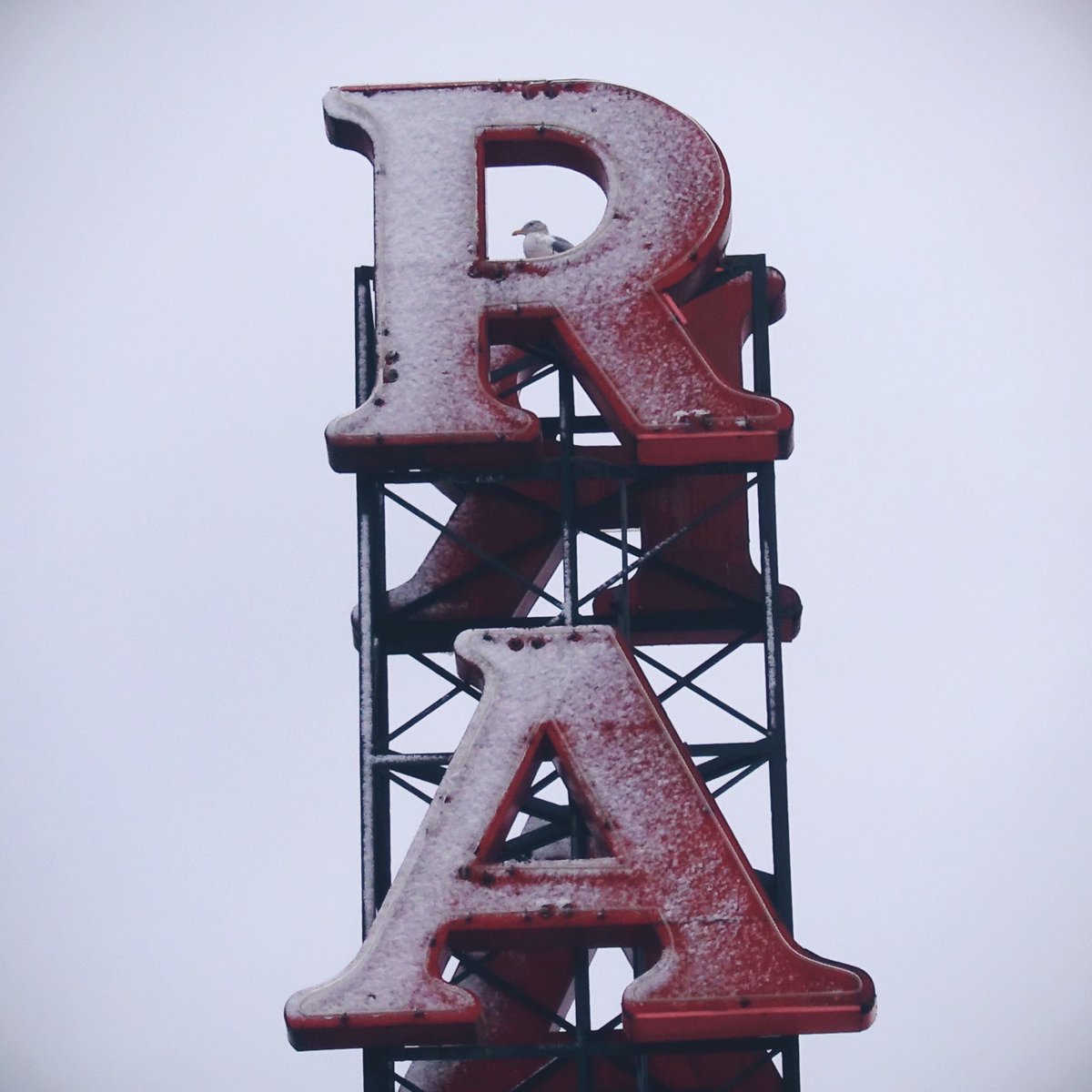 Kurt Schlosser tweet media