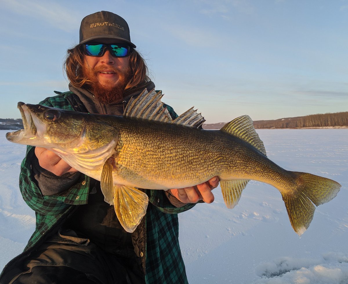 homiangling's tweet photo. Primetime 'Eyes!

#walleye #primetime #whereswaldo #amphibiaeyegear #adventure #icefishing #hardwater #winter #iceicebaby #anglerlife #blueskies #beautiful #googlepixel3xl #google #letemgoletemgrow #manitoba #canada #huntfishmb https://t.co/Qo0qArYwHA
