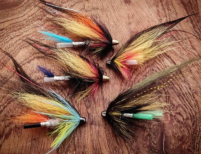 MFlycraft's tweet photo. TempleDogs for a Tay trip next month.
#salmonflies #salmonfishingscotland #salmonflyfishing #thetugisthedrug #flytyingjunkie #flytyingart #steelheadflies #flytying #flyfishingscotland #flyfishing #flybox #flyboxporn #flybench #rodbuilding #flyrod #scott… https://t.co/WAhJ84YuA7 https://t.co/2Zj4dmrhNM