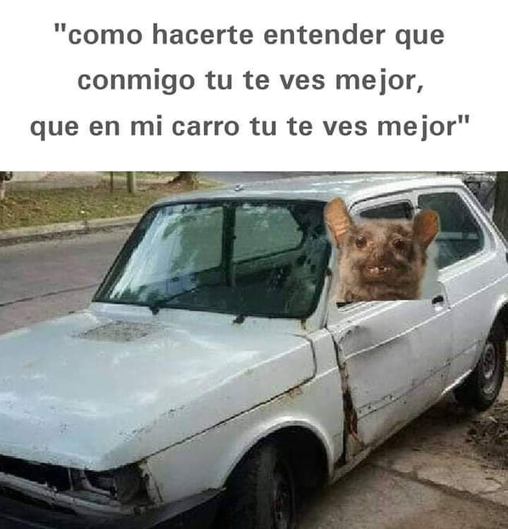 NFeArg's tweet image. Jajaj