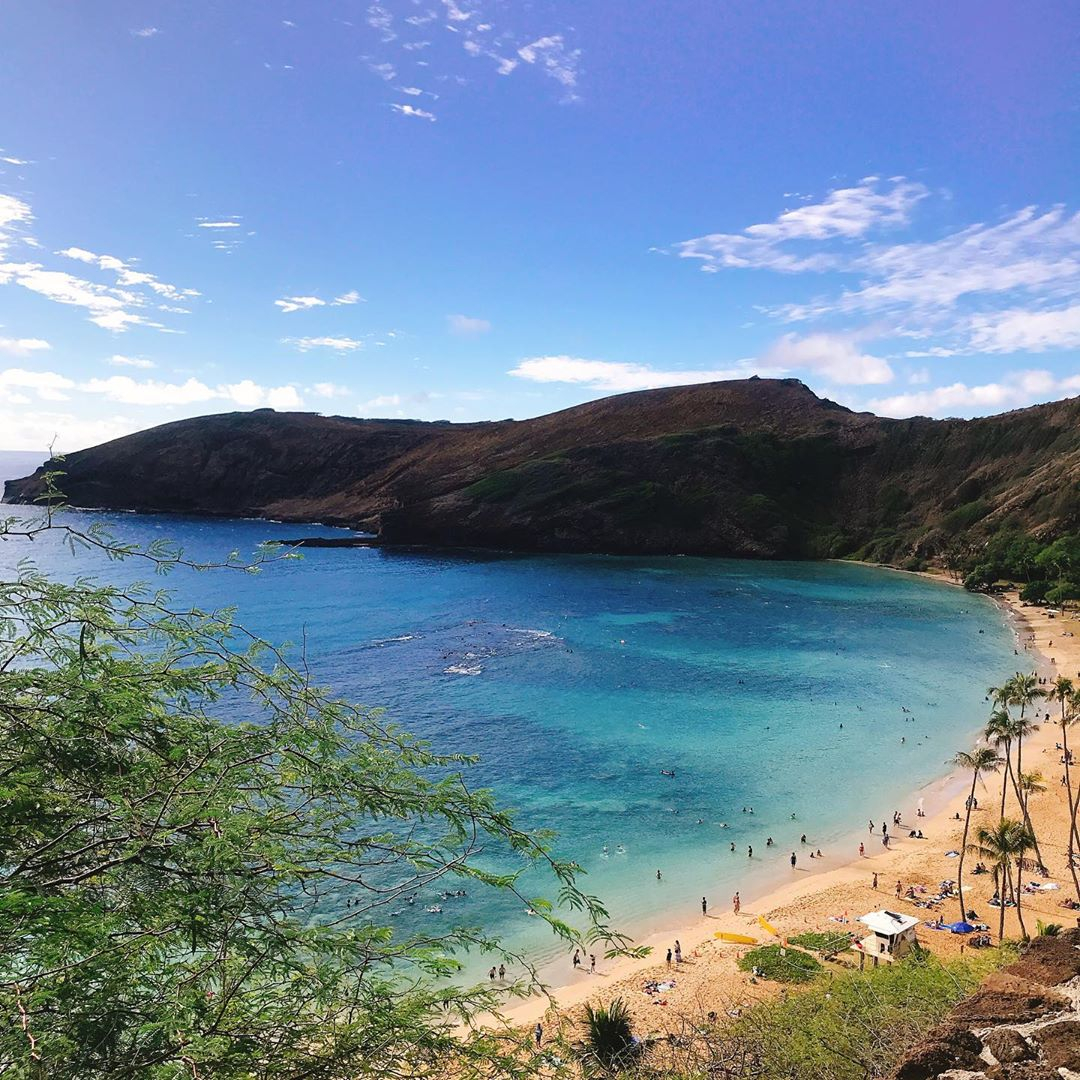 WaikikiShopPlza's tweet photo. Where is the best snorkel spot on the island?
📷IG clochette_lim
#Hanaumabay #oahu #oahuhawaii #hawaii #beachvibes #lethawaiihappen #hawaiiphotography #instahi #808state #ragehawaii #hawaiilove #glimpseofhawaii #nakedhawaii #palmtrees #ハワイ #オアフハワイ#オアフ https://t.co/dGl7F1Od4h