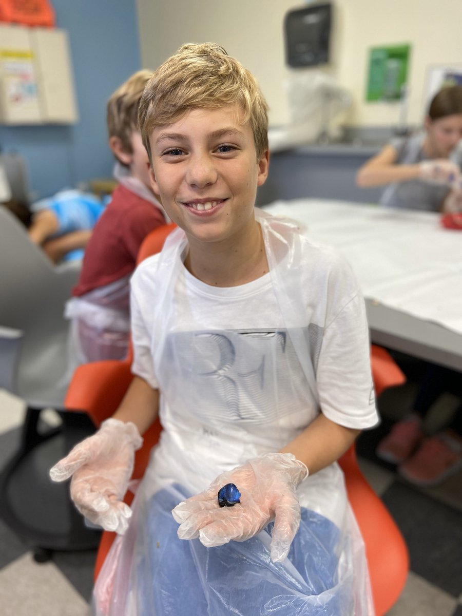 STEAMatHP's tweet photo. Tapetum was the word of the day in @EGreenTeach classroom today! These kids learned about the cow’s eye and some major differences (and similarities!) between theirs and ours! @MISHPISD https://t.co/fPI19j3soT