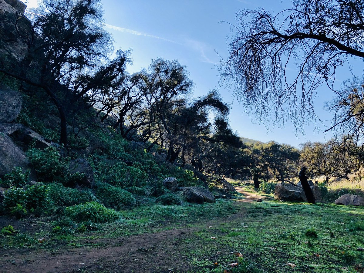 mach91photo's tweet photo. Sometimes I need to stop and remember how lucky I am that I can walk out my door and within 10 minutes be amongst all this beauty. If you ever want to make this your backyard too, I can help! Contact me #langranch #thousandoaks #california #nature #outsideisfree #realtor https://t.co/1nSrygP6j7