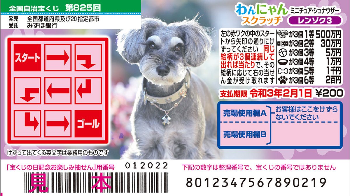 シュナウザー」は口ひげのこと／ 『わんにゃんスクラッチ ミニチュア