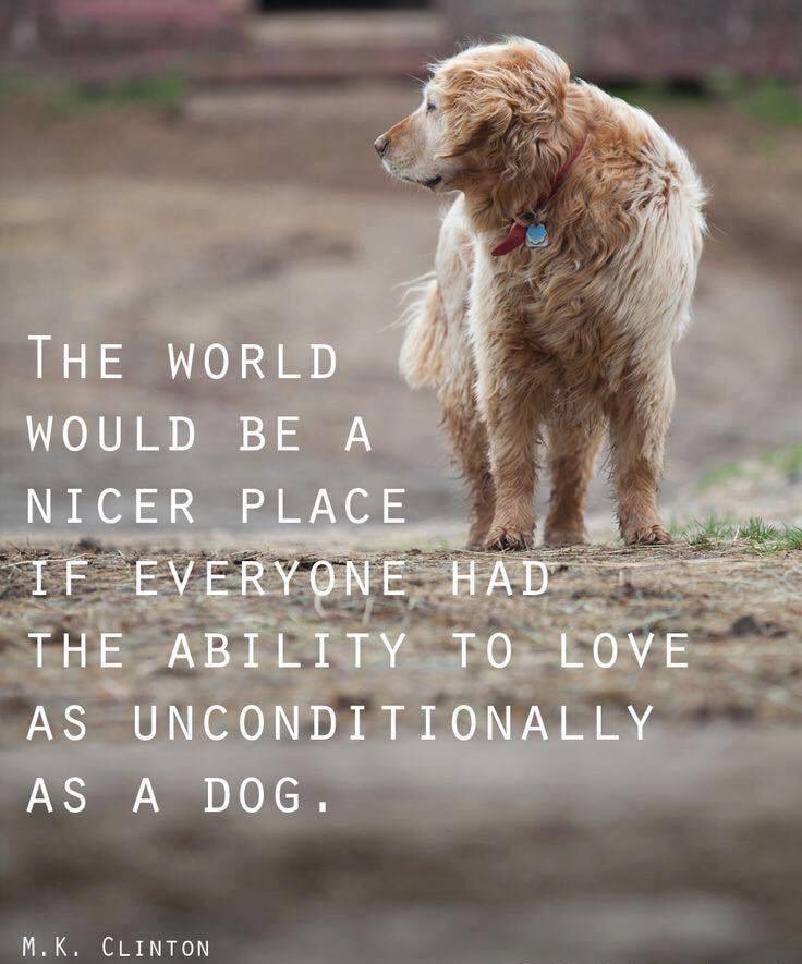 lpcoac's tweet photo. https://t.co/fQbFsvUprc