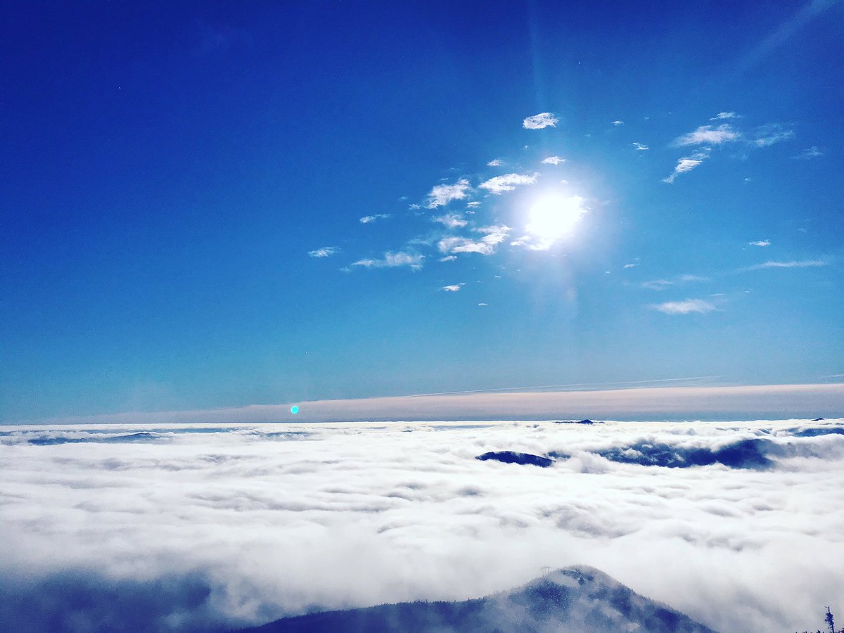 KellyTalksTrash's tweet photo. Head above the clouds and feeling like I am on top of the world ☺️

#skitheface #whitefacemountain #skitheeast #lakeplacid #adk #adirondacks #skiing #apresski #iloveny #ispyny #newyork #ny https://t.co/n12j1uWtba