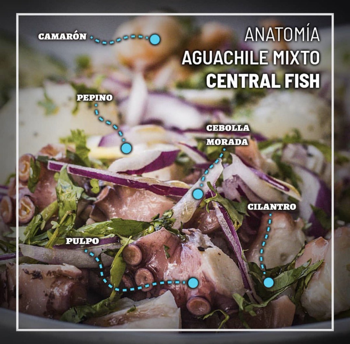 CentralFishMx's tweet photo. Una delicia para tu paladar!!!!!!

#CentralFish #Querétaro #Juriquilla #UpTown #SeaFood #Mariscos #DondeComer #Restaurante https://t.co/XTGFThq3fh