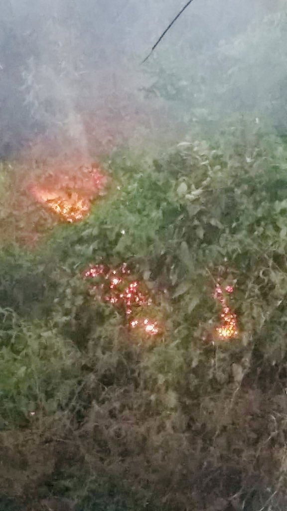 CAMdeSantaTecla's tweet photo. Fuego en El Trébol, controlado en un 98% gracias al trabajo conjunto de @BomberosSV @SantaTeclaSV @CAMdeSantaTecla, #CAMdeAntiguoCuscatlán, #ProteccionCivilSantaTecla, @ANDASV y @CruzRojaSal #SantaTecla #EscudoTecla #SumamosProgreso https://t.co/0aLf3wLOqg