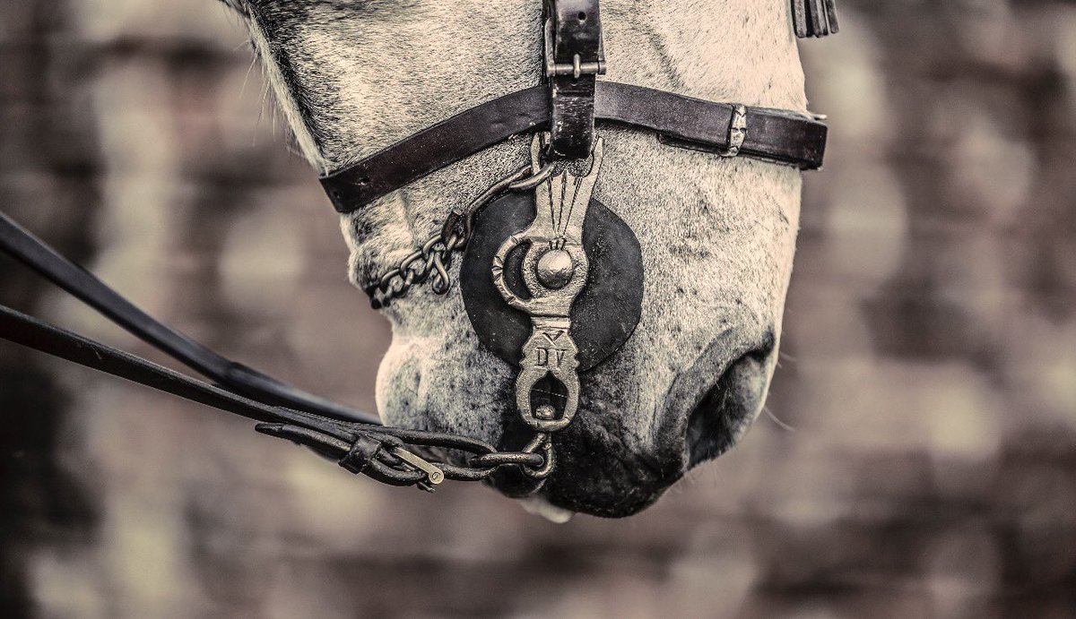 NTR Toros tweet media