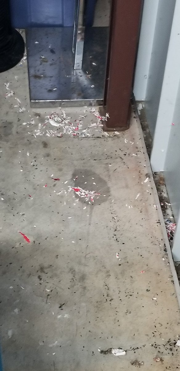 Starletcreation's tweet image. Check out @News12BX  tonight at 10 pm. They are covering my story on the horrible #ratinfestation and conditions of my storage unit at #storagepost on West fordham rd. BX. They failed to  to take accontabilty and have horrible customer service.@rubendiazjr @FCabreraNY @nyc311