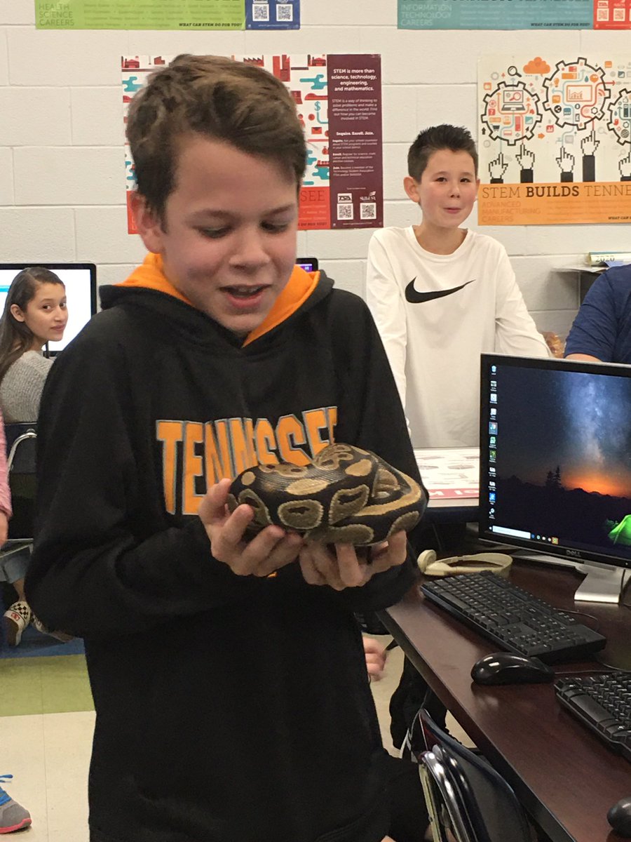 cgarrison5526's tweet photo. When you are -dying- to get your hands on the snake mentally, yet not quite ready physically. Highlight of my day. #wheresherhead #somonetakeheralready #themanyfacesofsweeney #persephonethepython @PetsinClassroom @LauriJonesSwee3 #psmsProgramming @PSMSBulldogs https://t.co/91mzBVHMd0